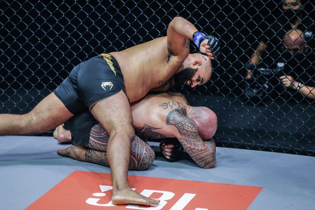 Arjan Bhullar lands a punch to the head of Brandon Vera while on his back on the ground.